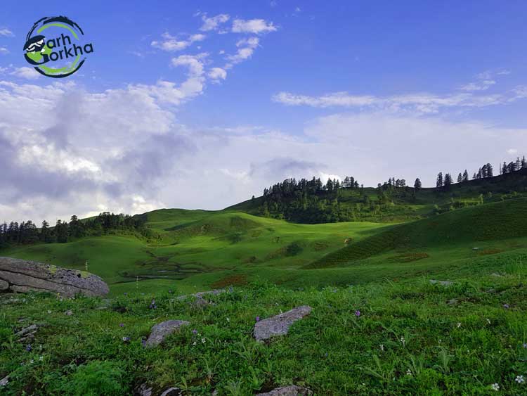 Undulating slopes of dayara bugyal with scattered wildflowers is a sight to behold. Picture by Atul Uniyal.